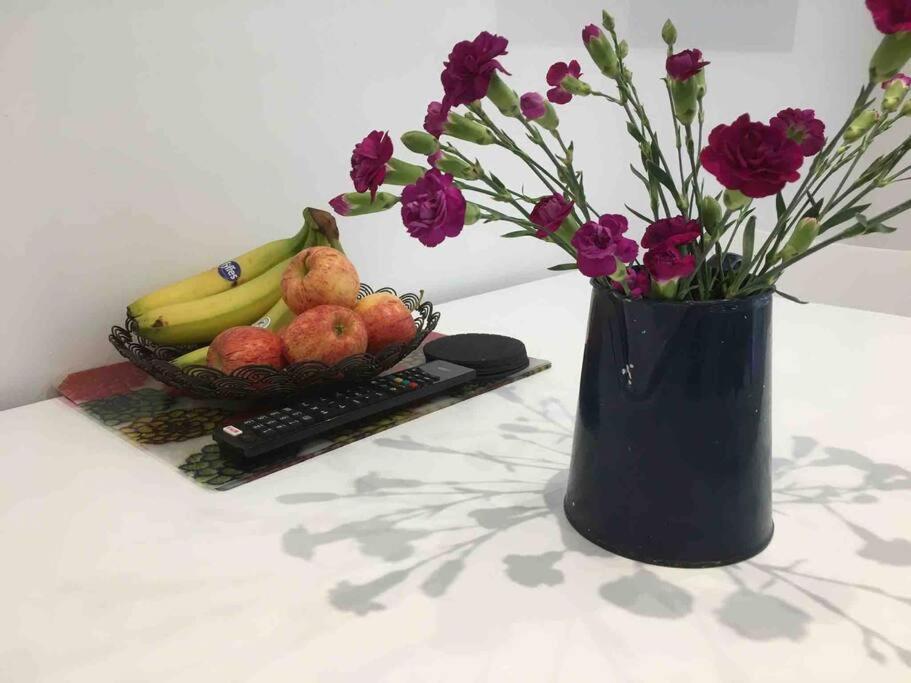 Bright And Spacious Annex Near Lymington With Private Garden Екстериор снимка